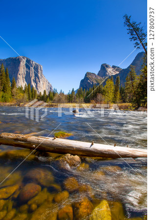 Yosemite Merced River el Capitan and Half Dome Yosemite Merced River el Capitan and Half Dome 127800737