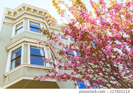 San Francisco Victorian houses California San Francisco Victorian houses California 127801218