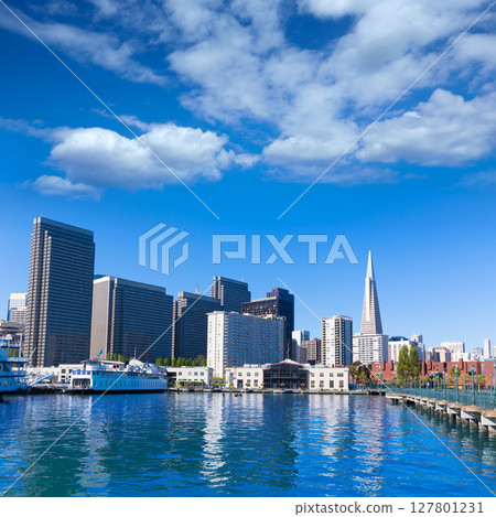 San Francisco downtown from pier 7 California San Francisco downtown from pier 7 California 127801231