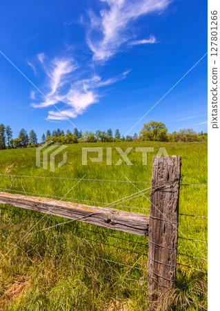 California meadow ranch in a blue sky spring day California meadow ranch in a blue sky spring day 127801266
