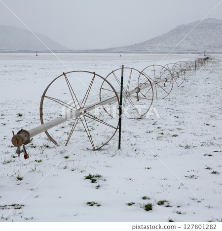 Cereal fields with irrigation wheels with snow in Nevada 127801282