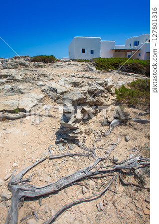 Es calo de san Agustin Beach white houses in Formentera 127801316