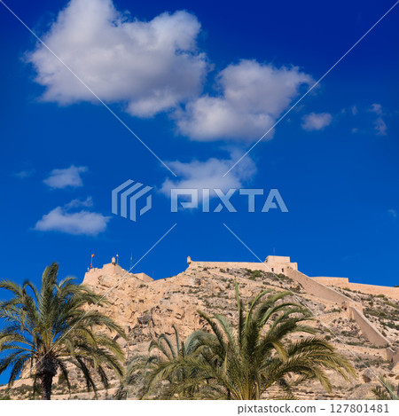 Alicante Santa Barbara castle in Mediterranean spain 127801481