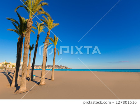 Benidorm Alicante playa de Poniente beach in Spain 127801516