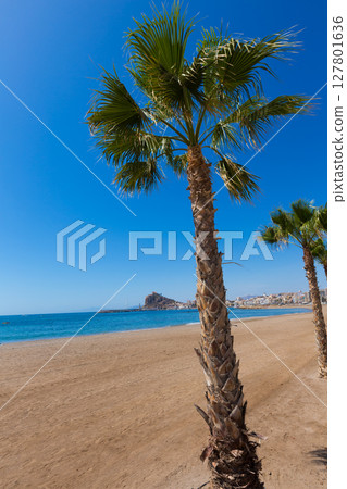 Aguilas Levante beach Murcia in Spain Aguilas Levante beach Murcia in Spain 127801636