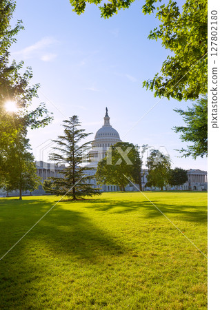 Capitol building Washington DC sunset garden US Capitol building Washington DC sunset garden US 127802180