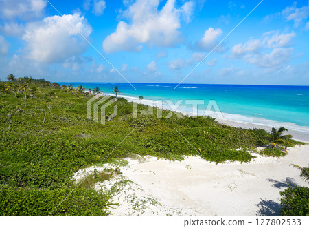 Mahahual Caribbean beach in Costa Maya Mahahual Caribbean beach in Costa Maya 127802533