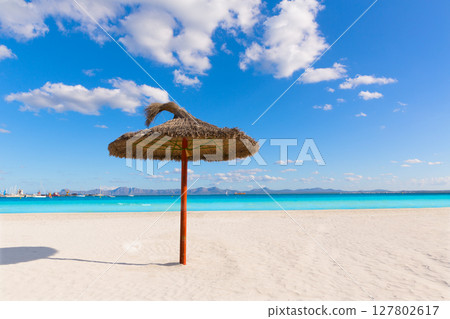 Mallorca Platja de Alcudia beach in Majorca Mallorca Platja de Alcudia beach in Majorca 127802617