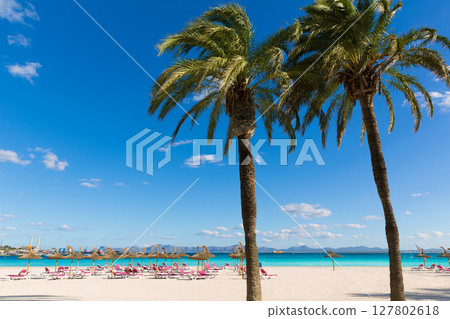 Mallorca Platja de Alcudia beach in Majorca 127802618