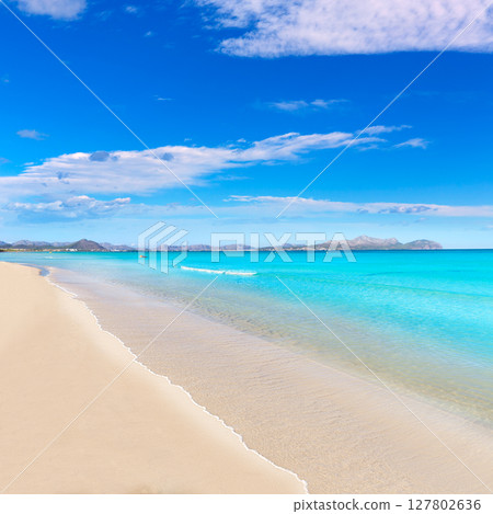 Mallorca Can Picafort beach in alcudia bay Majorca 127802636