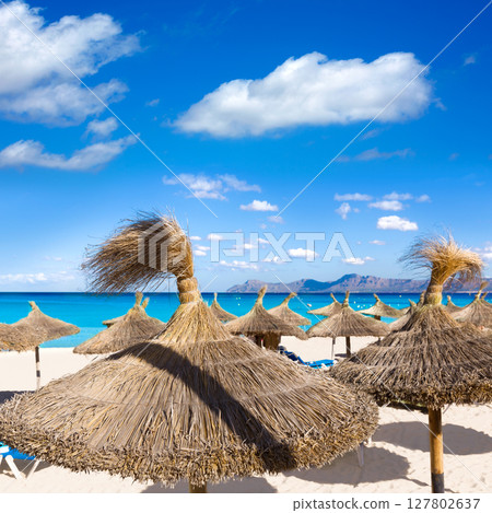 Mallorca Can Picafort beach in alcudia bay Majorca 127802637