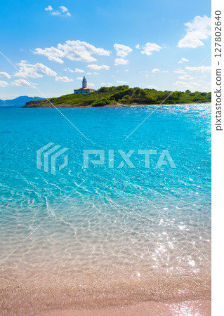 Platja de Alcudia Aucanada beach in Mallorca 127802640