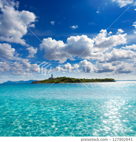 Platja de Alcudia Aucanada beach in Mallorca 127802641
