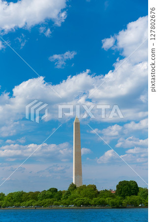 Washington Monument reflected in Tidal Basin DC Washington Monument reflected in Tidal Basin DC 127802676