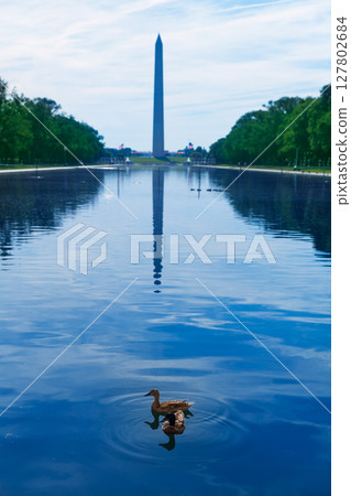 Washington Monument morning reflecting pool 127802684