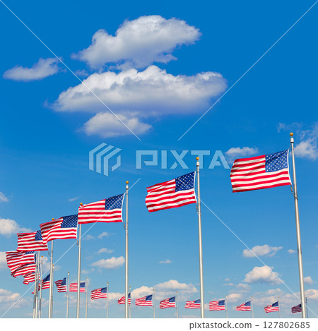 Washington Monument flags in DC USA 127802685