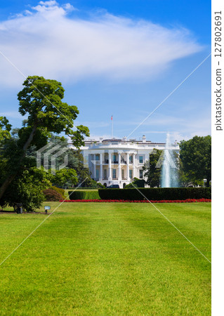 The White House in Washington DC USA 127802691