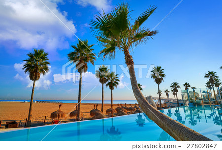 Resort infinity pool in a beach with palm trees Resort infinity pool in a beach with palm trees 127802847