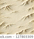  White wall 127803309