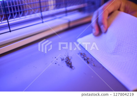 Operating a handheld UV light device specifically designed for killing insects effectively 127804219