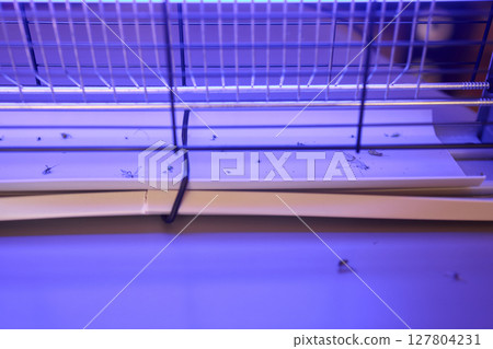 Operating a handheld UV light device specifically designed for killing insects effectively 127804231