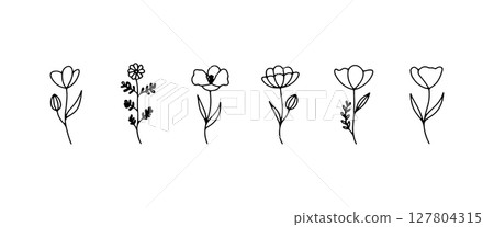 Floral Outline Composition. A floral group of blooming plants in outline style with fine stems and varied heads, perfect for modern illustration sets and packaging. Floral Outline Composition. A floral group of blooming plants in outline style with fine stems and varied heads, perfect for modern illustration sets and packaging. 127804315