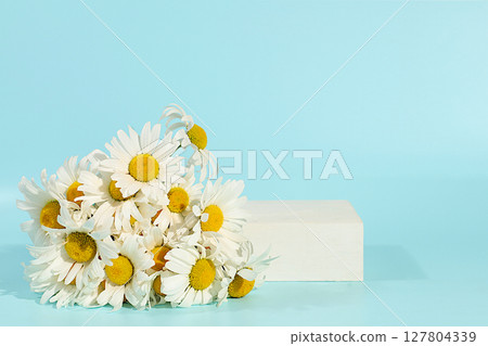 Empty podium with beautiful flowers of garden chamomile and mallow.Abstract flower arrangement,banner.Creative template for your design.Minimal modern aesthetics, elegant beauty concept Empty podium with beautiful flowers of garden chamomile and mallow.Abstract flower arrangement,banner.Creative template for your design.Minimal modern aesthetics, elegant beauty concept 127804339