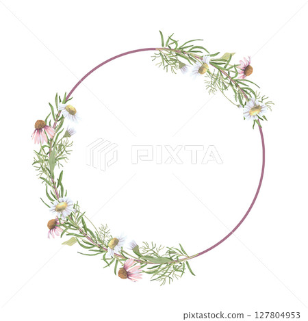 Watercolor frame of Echinacea and chamomile flowers,rosemary.Hand-drawn clip-art on white background. Delicate realistic images of herbs for packaging, textiles, printing, holiday cards,wedding,menu 127804953