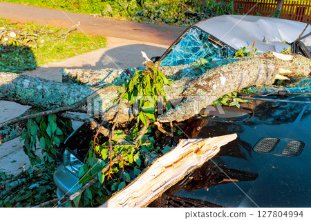 Strong storm has caused tree to fall, leaving branches scattered heavily damaging parked car 127804994