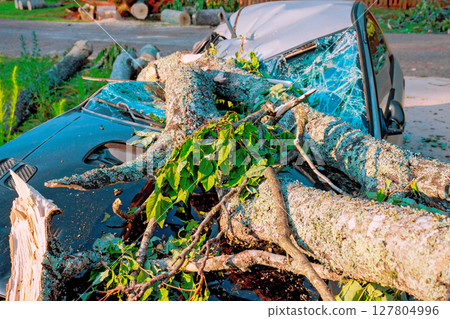 Branches debris cover parked car, illustrating aftermath of storm in suburban location. Branches debris cover parked car, illustrating aftermath of storm in suburban location. 127804996