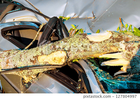 Large tree limb has fallen onto car, causing significant damage in residential neighborhood after storm. Large tree limb has fallen onto car, causing significant damage in residential neighborhood after storm. 127804997