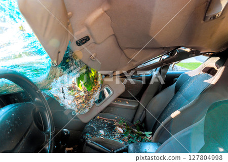 Car sits with its roof partially crushed by tree branches, debris scattered inside, showcasing storm aftermath. Car sits with its roof partially crushed by tree branches, debris scattered inside, showcasing storm aftermath. 127804998