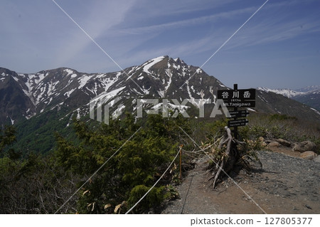 Tanigawadake, Gunma Prefecture: Arriving at Tenjin Pass from Tenjindaira Station by mountain lift. Seeing the remaining snow on Tanigawadake. May 21, 2025 127805377
