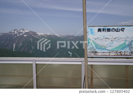 Tanigawadake, Gunma Prefecture: Arriving at Tenjin Pass by mountain lift from Tenjindaira Station, looking towards Shirakemon from the observation deck, May 21, 2025 Tanigawadake, Gunma Prefecture: Arriving at Tenjin Pass by mountain lift from Tenjindaira Station, looking towards Shirakemon from the observation deck, May 21, 2025 127805402