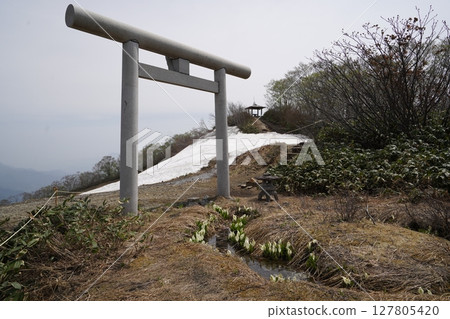 從天神平站搭乘峠山纜車抵達天神峠。觀景台區域景觀。 2025年5月21日。 從天神平站搭乘峠山纜車抵達天神峠。觀景台區域景觀。 2025年5月21日。 127805420