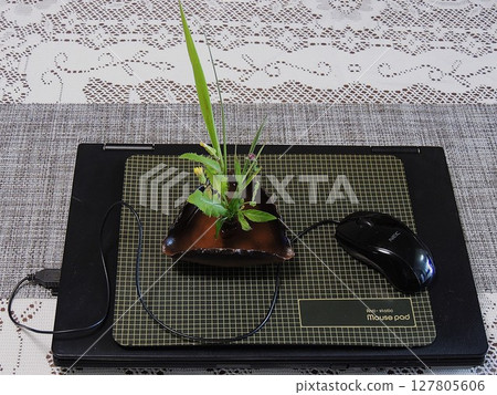 Laptop and wildflowers Laptop and wildflowers 127805606