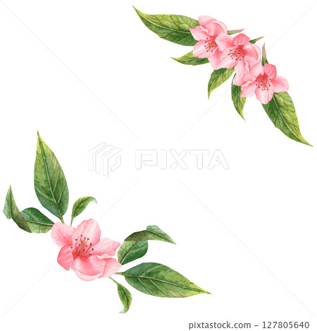 Watercolor pink flowers handmade. Flowers of peach, apple, apricot, cherry 127805640