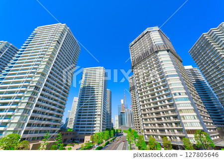 [Kanagawa Prefecture] May - Want to live in the hugely popular Minato Mirai area of Yokohama? 127805646