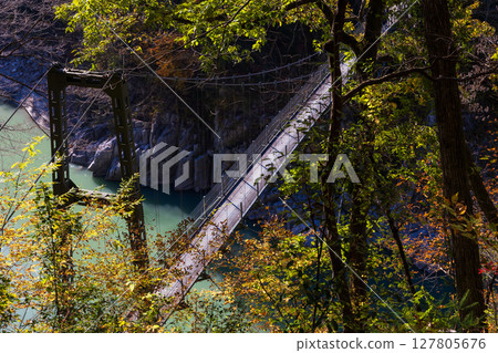 長野縣飯田市的秋天-天龍峽和杜鵑橋的紅葉 長野縣飯田市的秋天-天龍峽和杜鵑橋的紅葉 127805676