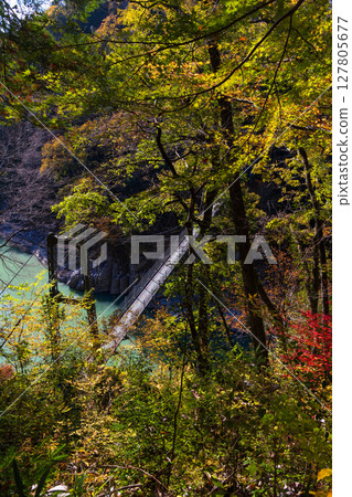 Autumn in Iida City, Nagano Prefecture - Tenryukyo Gorge and Tsutsuji Bridge with Autumn Foliage Autumn in Iida City, Nagano Prefecture - Tenryukyo Gorge and Tsutsuji Bridge with Autumn Foliage 127805677