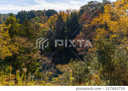 Autumn in Iida City, Nagano Prefecture - Autumn leaves at Tenryukyo Gorge Autumn in Iida City, Nagano Prefecture - Autumn leaves at Tenryukyo Gorge 127805720