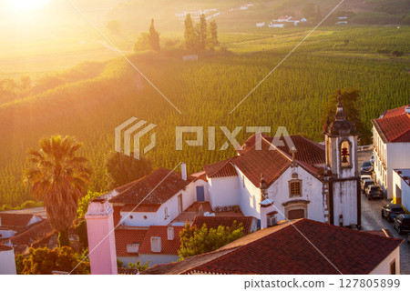 Aerial view of Obidos with green fields and historic buildings, Leiria district, Portugal 127805899