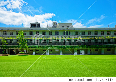 嫩葉新綠的大名小學，大名庭園城 127806112