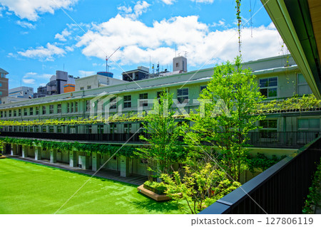 嫩葉新綠的大名小學，大名庭園城 127806119