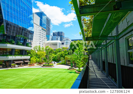 嫩葉新綠的大名小學,大名庭園城 嫩葉新綠的大名小學,大名庭園城 127806124