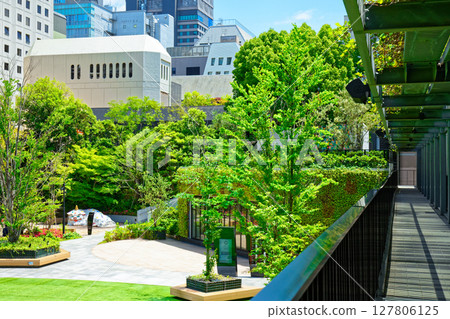 嫩葉新綠的大名小學,大名庭園城 嫩葉新綠的大名小學,大名庭園城 127806125