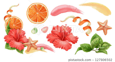 Set of orange slice and Hibiscus flower in realistic watercolor style. Starfish with brushstroke and beach elements form vivid tropical corner arrangement. Perfect for summer design and floral use. 127806502