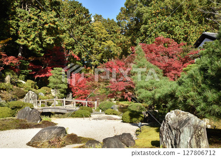 Autumn at Konkai-Komyoji Temple: Purple Cloud Garden (Sakyo Ward, Kyoto City) 127806712