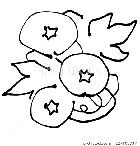 簡單的牽牛花 127806737