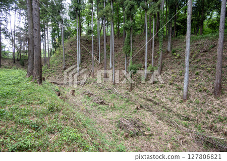 Takiyama Castle: The dry moat around the Ninomaru, where side arrows were effective 127806821